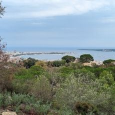 Belvédère du Cèdre
