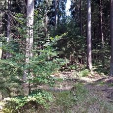 Friedrichsheider Hochmoor