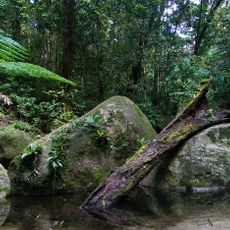 Daintree National Park