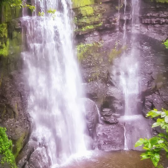 Plotter Kill Preserve