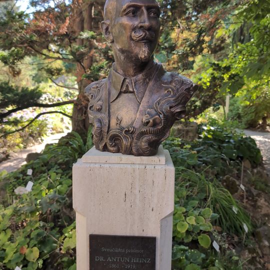 Dr. Antun Heinz 1861.-1919.