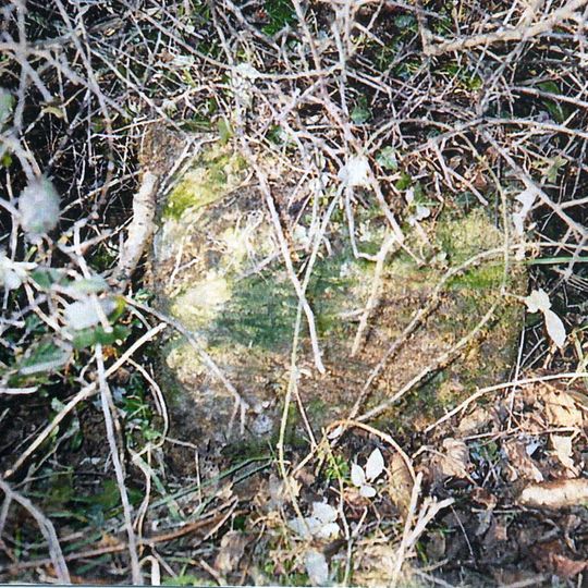 Milestone, SW of village, just N of road jct