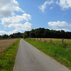Vetschauer Berg