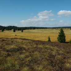 Přebuzské vřesoviště