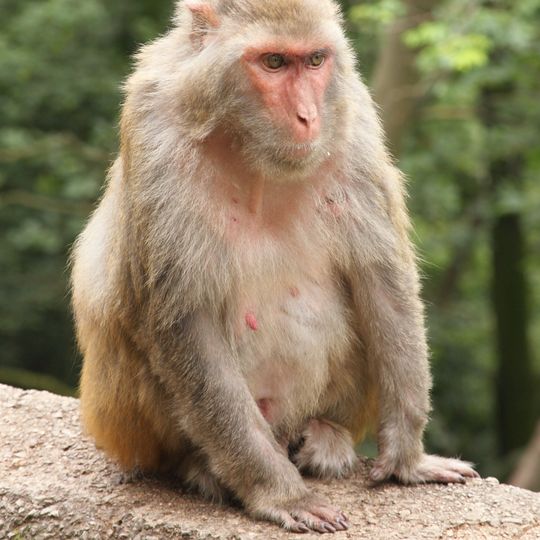 Parc national de Betla
