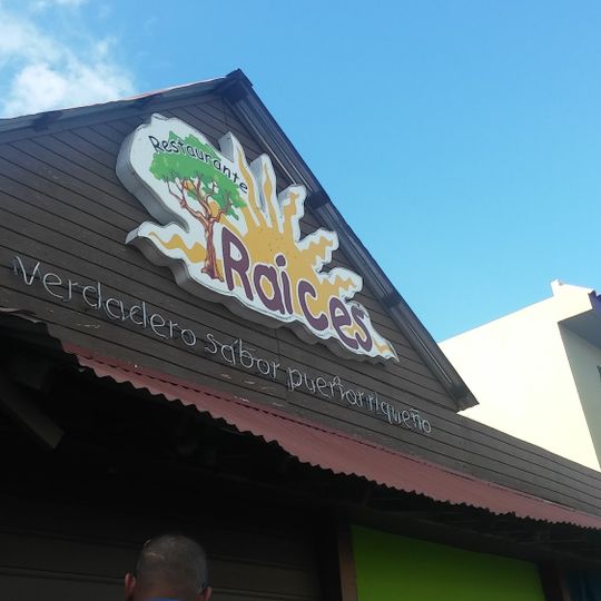 Raices