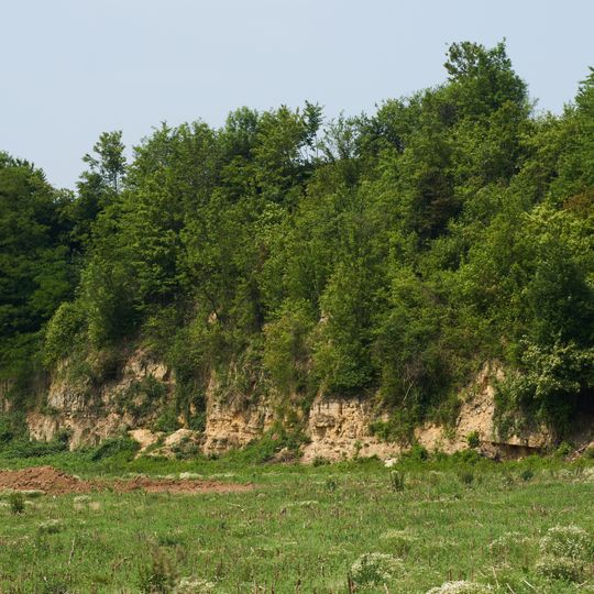 Ehemaliger Muschelkalksteinbruch