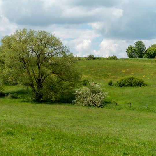 Grünlandtäler nördlich und südlich Eschenbruch