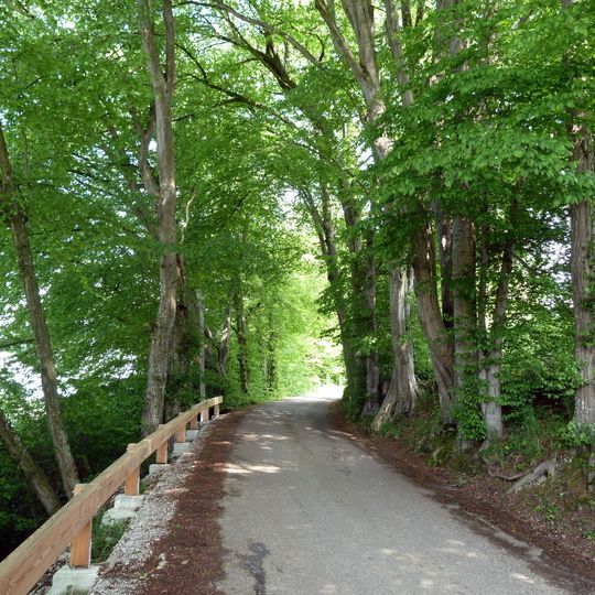 Allee in Maurachen
