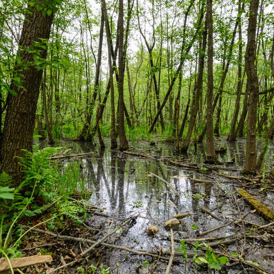 Nacka nature reserve, Stockholm