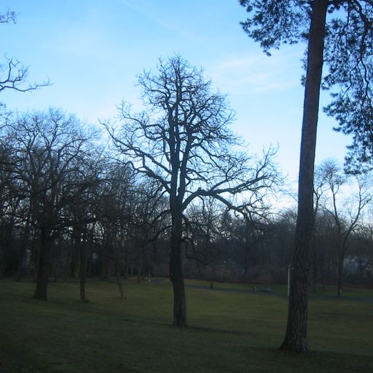 Bellevuepark