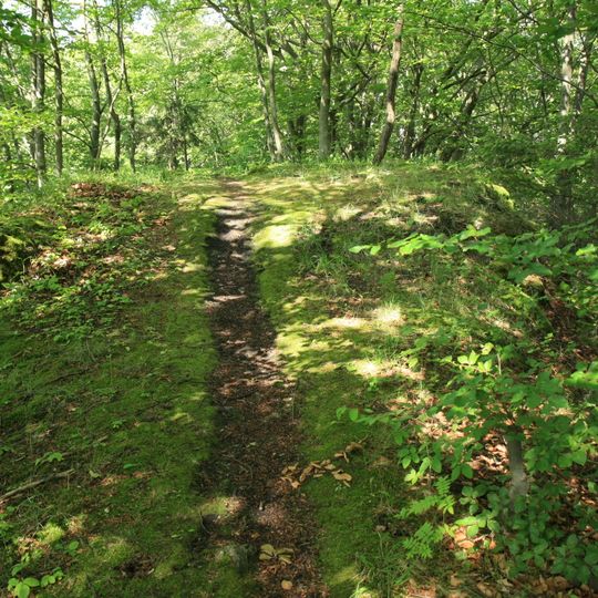 Cultural heritage D-4-6334-0075 in Betzenstein
