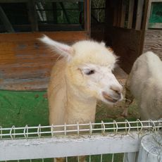 動物ふれあい広場