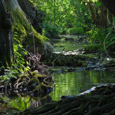 Mittleres Johannisbachtal