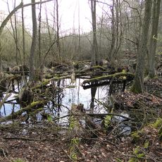 Wald- und Kleingewässerlandschaft südlich von Teterow