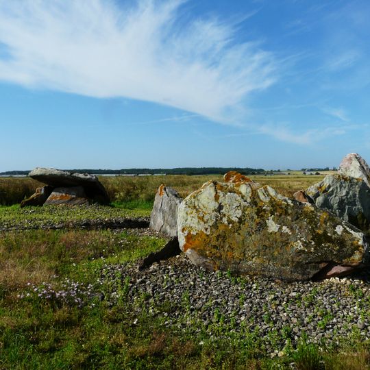 Pierres Levées de Puyraveau