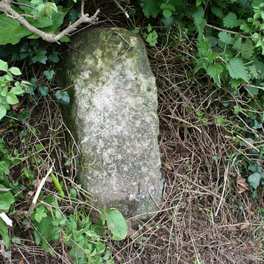 Milestone, 150m N of entrance to Efford Barns