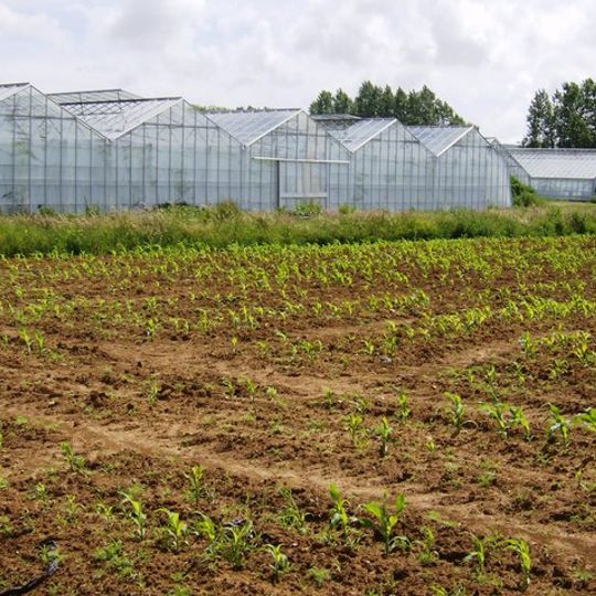 Great Budbridge Manor