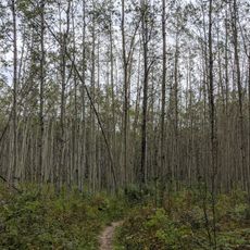 Charlie Lake Provincial Park
