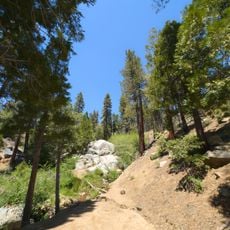 Sequoia National Forest