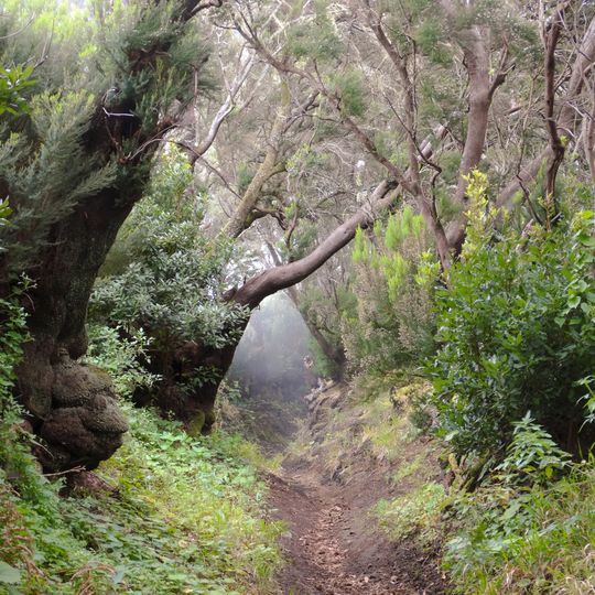 Parc naturel de Cumbre Vieja