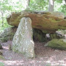 Pierre couverte de Bué