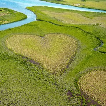 Things to do in New Caledonia: turquoise lagoons, preserved islands, and natural treasures of the Pacific