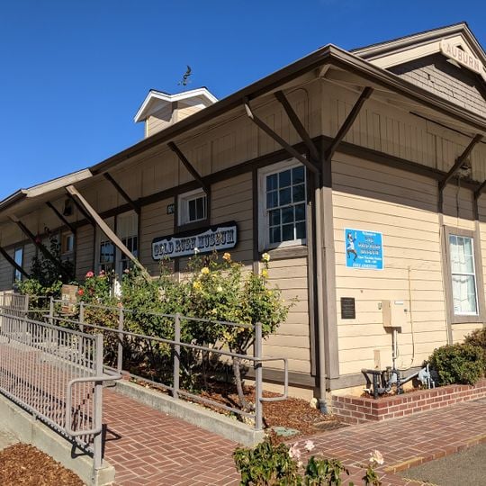 The Gold Rush Museum