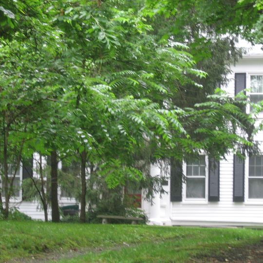 Ayres L. Bramble House