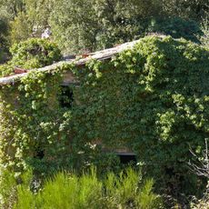 Casa Nova de Mas Ferrer