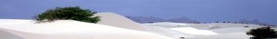 Panoramic View 1
