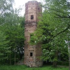 Ruina zamku (dom mieszkalny i wieże)