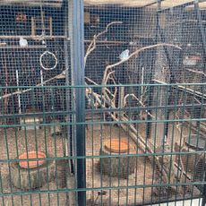 Animal park Vleuten