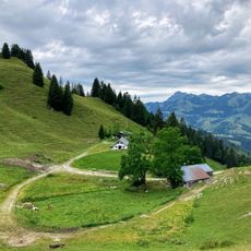 Seelacheralm