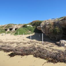 Penguin Island Kitchen & Store Cave