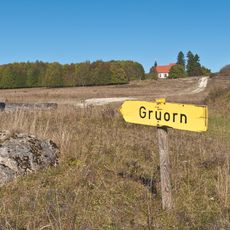 Gruorn
