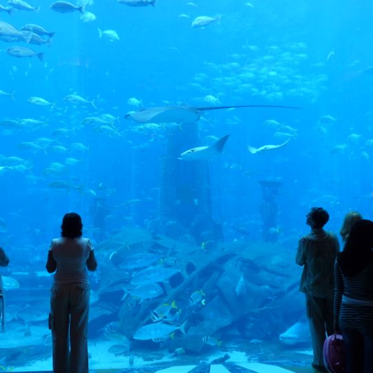 The Lost Chambers aquarium