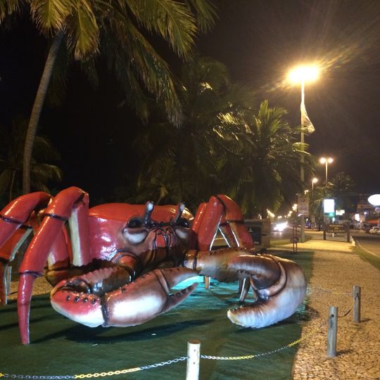 Crab on Atalaia's shore