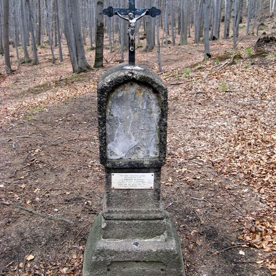 U zabitého mládence