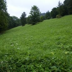 Sklenářovické údolí