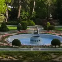 Varese