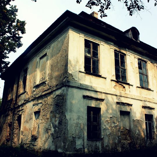 Pałac w Śladkowie Dużym