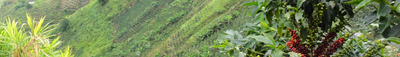 Panoramic View 2