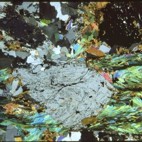 British Geological Survey