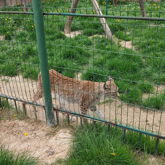 Mini Zoo w Wojciechowie