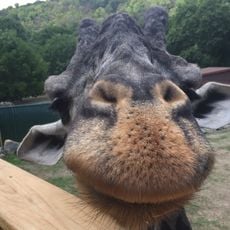 Lehigh Valley Zoo
