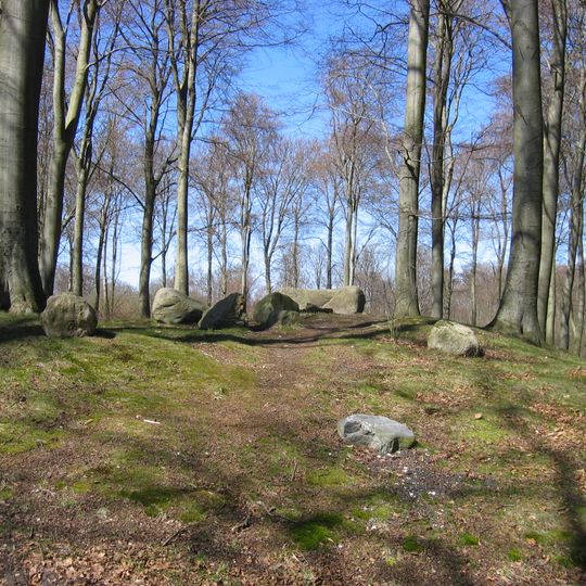 Grabhügel im Aggebo Hegn