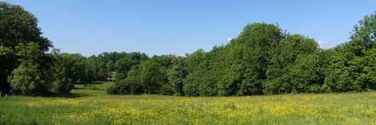 lydia renaud Profile Cover