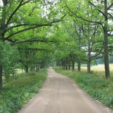 Дубовая аллея (Сортавальское г.п.)