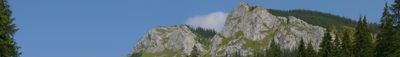 Panoramic View 0